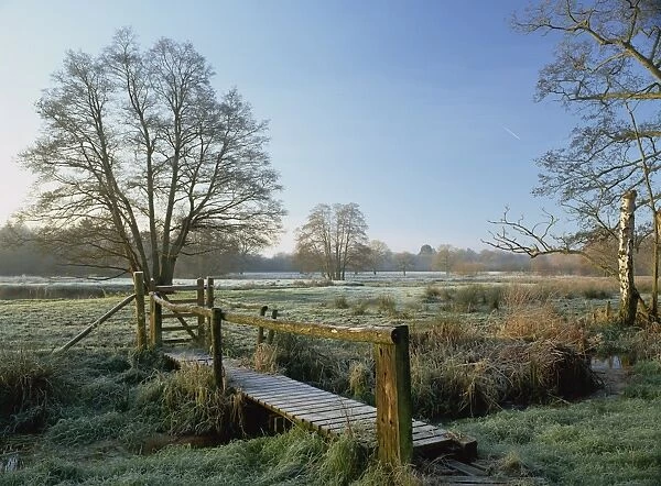 Frost at Thundery Meadows where River Wey runs through the Surrey Wildlife Trusts wetland reserve