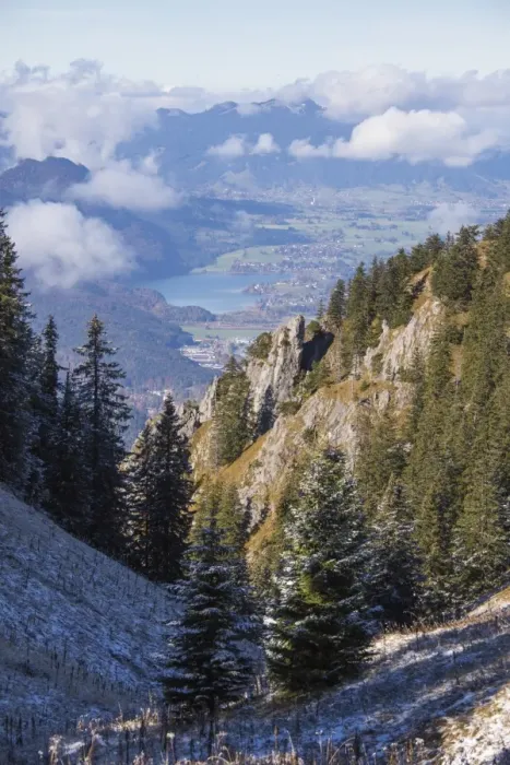 Framed Print : Frost on trees in the woods of the Ammergau Alps, Tegelberg, Fussen, Bavaria, Germany