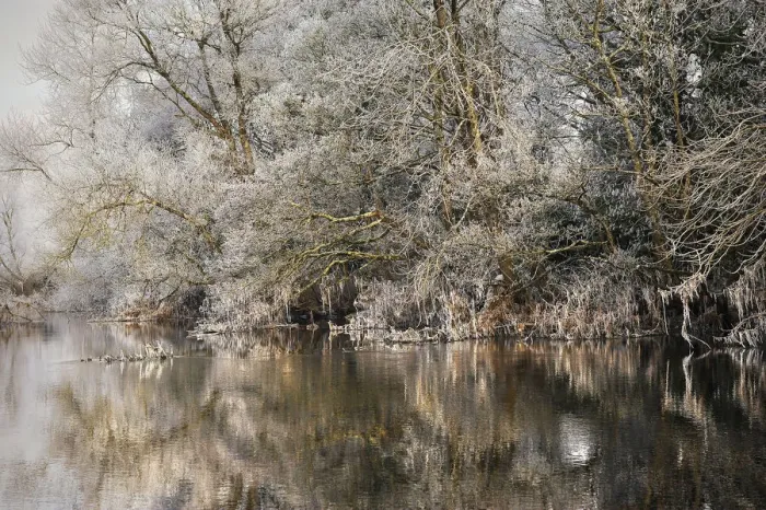 Framed Print : Frosted trees reflected in a calm river on a cloudy morning in County Galway, Connacht