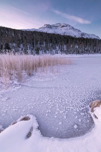 Frozen lake, Lej da Staz, St. Moritz, Engadine, Canton of Graubunden (Grisons), Switzerland