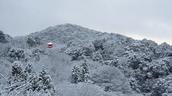Frozen landscape in Kiyomizu-dera temple, Kyoto, Japan, Asia