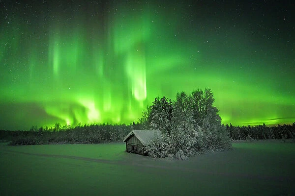 Frozen mountain hut in the arctic snowy forest lit by green lights of Aurora Borealis (Northern Lights), Tornio, Lulea, Lapland, Sweden, Scandinavia, Europe