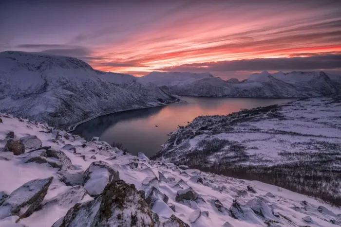 Framed Print : The frozen sea surrounded by snow framed by pink clouds, Arctic, Norway, Scandinavia