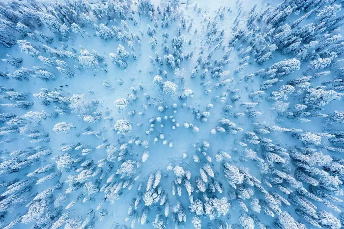 Framed Print : Frozen snowy forest after a winter blizzard at dusk, overhead view, Lapland, Finland, Europe