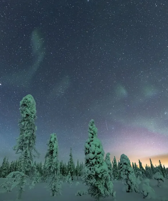 Framed Print : Frozen trees under the starry sky during the Northern Lights (Aurora Borealis) in winter, Iso Syote, Lapland, Finland, Europe Framed Print : Frozen trees under the starry sky during the Northern Lights (Aurora Borealis) in winter, Iso Syote, Lapland, Finland, Europe