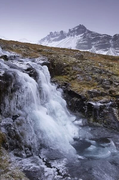 Frozen waterfall and stream in the East Fjords, near Neskaupstadur, Nordfjordur-Reydarfjordur