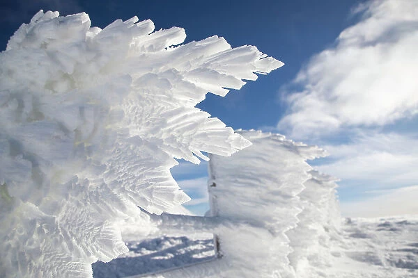 Frozen winter landscape, Vladeasa Mountains, Romania, Europe