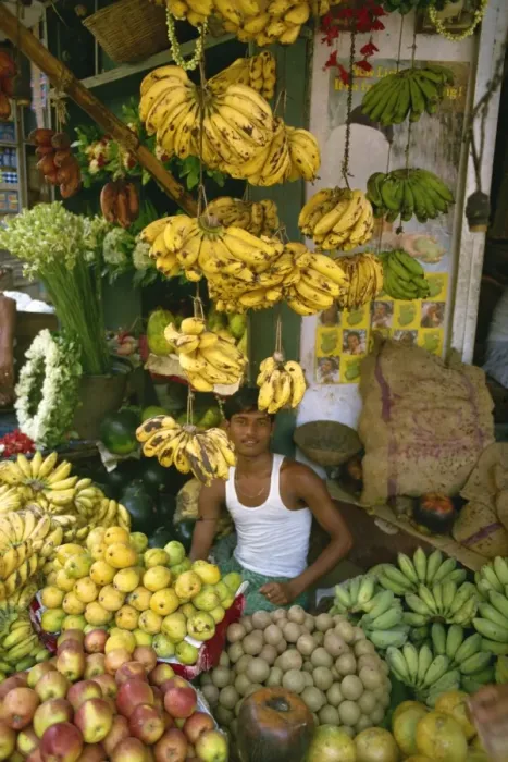 Framed Print : Fruit stall, India, Asia Framed Print : Fruit stall, India, Asia