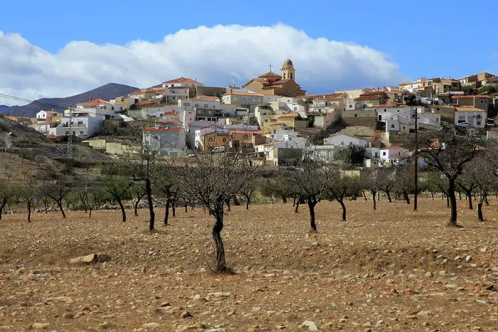 Framed Print : Fruit trees growing in farmland, village of Uleila del Campo, Almeria, Andalusia, Spain, Europe Framed Print : Fruit trees growing in farmland, village of Uleila del Campo, Almeria, Andalusia, Spain, Europe