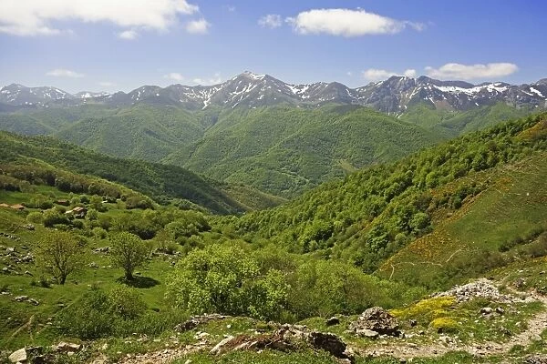 Fuente De, Picos de Europa, Parque Nacional de los Picos de Europa, Asturias, Cantabria