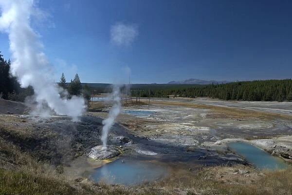 Fumaroles (steam vents) in Porcelain Basin, Norris Geyser Basin, Yellowstone National Park, UNESCO World Heritage Site, Wyoming, United States of America, North America