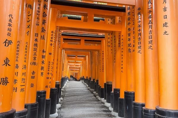 Fushimi Inari Taisha, Shinto shrine, vermilion torii gates line paths in wooded forest
