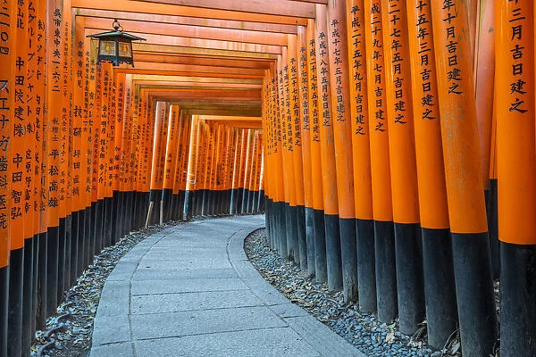 Fushimi Inari Taisha shrine and torii gates, Kyoto, Japan, Asia