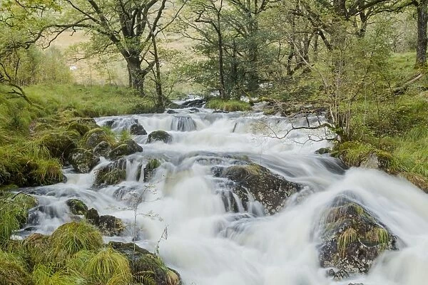 Gairland Burn near to Loch Trool in a part of the Galloway Forest Park, Scotland, United Kingdom, Europe