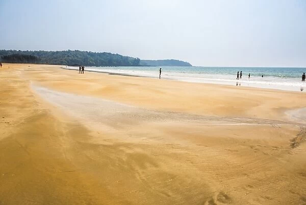 Galgibag Beach, South Goa, India, Asia