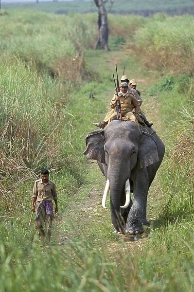 Game guards patrolling on elephant back