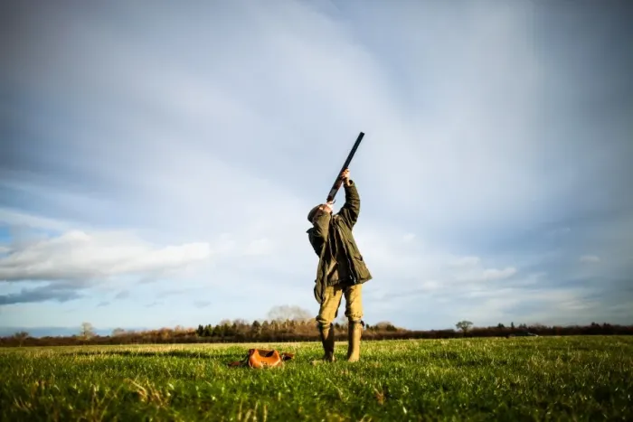Framed Print : Game-shooting, United Kingdom, Europe Framed Print : Game-shooting, United Kingdom, Europe