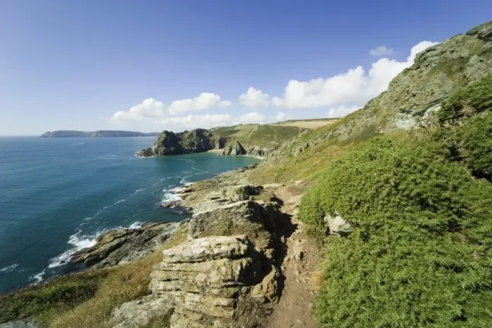 Framed Print : Gammon Head, Prawle Point, view from Devon Coast Path, South Hams, Devon Framed Print : Gammon Head, Prawle Point, view from Devon Coast Path, South Hams, Devon