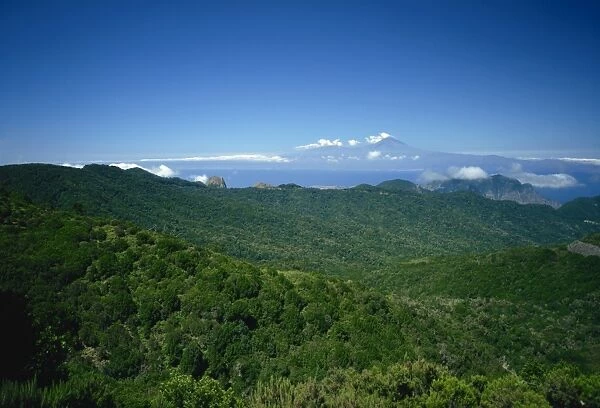 Garajonay National Park, UNESCO World Heritage Site, with island of Tenerife in background