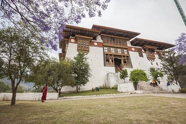 The garden at the entrance of the Punakha Dzong where there are trees of different species
