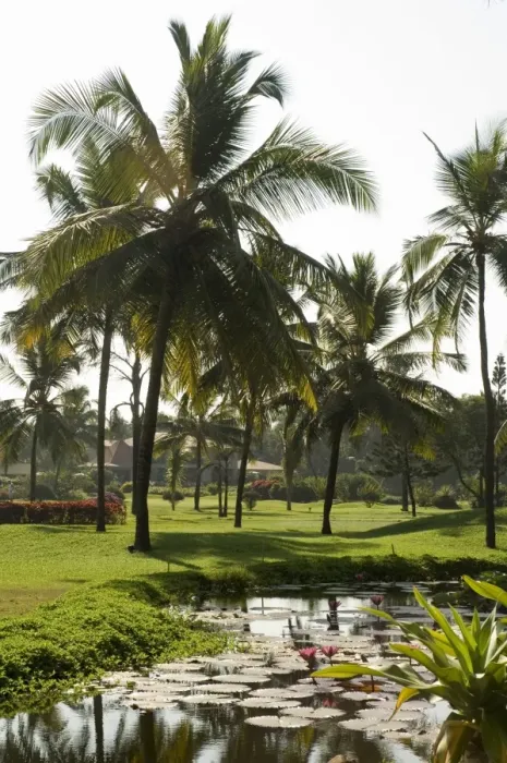 Framed Print : The garden and golf course at the Leela Hotel Framed Print : The garden and golf course at the Leela Hotel