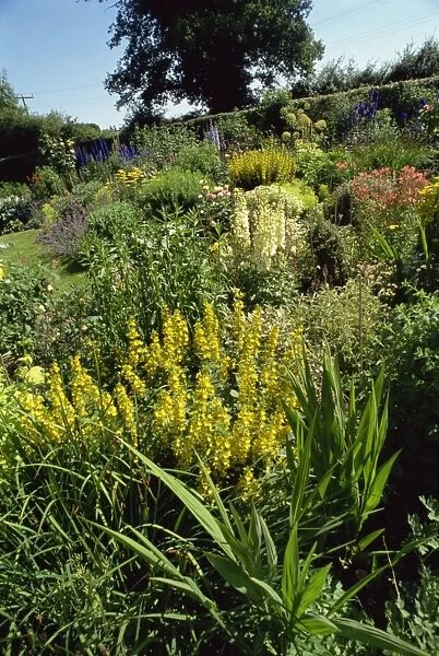 Garden, Oxfordshire, England, United Kingdom, Europe