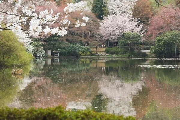Garden of Ryoanji Temple