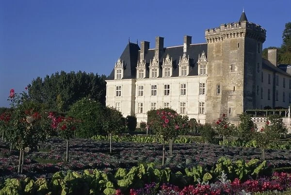 Gardens, Chateau de Villandry, Loire Valley, Centre, France, Europe