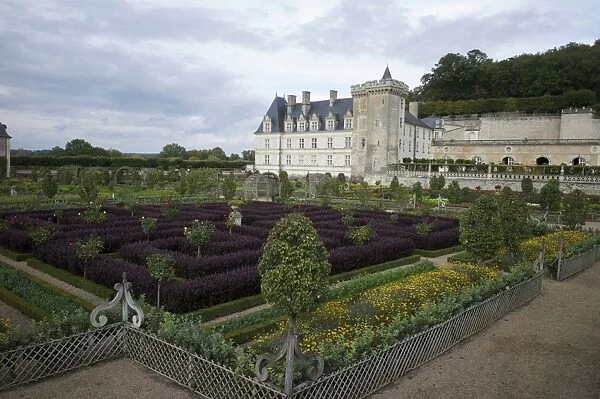 Gardens, Chateau de Villandry, UNESCO World Heritage Site, Indre-et-Loire, Touraine, Loire Valley, France, Europe