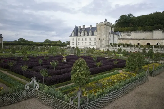 Framed Print : Gardens, Chateau de Villandry, UNESCO World Heritage Site, Indre-et-Loire, Touraine, Loire Valley, France, Europe Framed Print : Gardens, Chateau de Villandry, UNESCO World Heritage Site, Indre-et-Loire, Touraine, Loire Valley, France, Europe