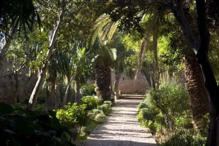 Framed Print : Gardens in the fortress of Chellah, near the Roman site of Sala Colonia Framed Print : Gardens in the fortress of Chellah, near the Roman site of Sala Colonia