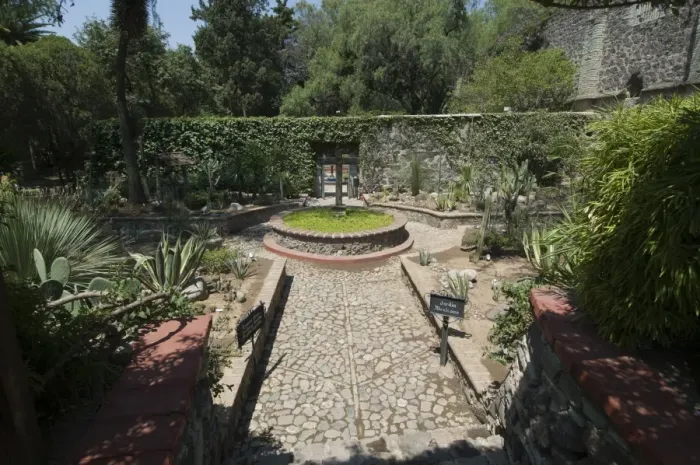 Framed Print : Gardens in Guanajuato, Guanajuato State, Mexico, North America Framed Print : Gardens in Guanajuato, Guanajuato State, Mexico, North America