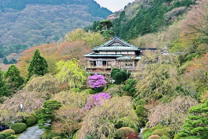 Framed Print : Gardens of Mikawaya Ryokan, Hakone, Japan Framed Print : Gardens of Mikawaya Ryokan, Hakone, Japan