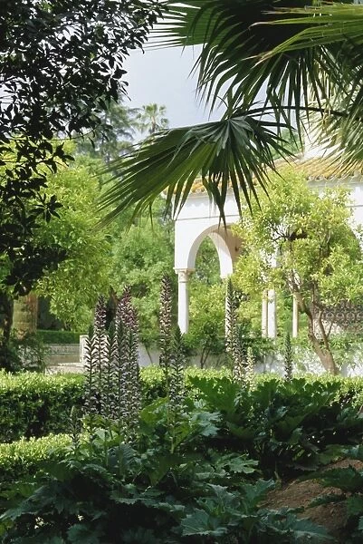 The gardens from the palace wall