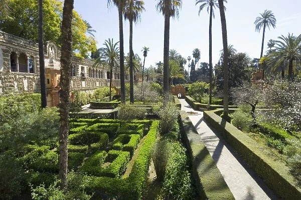 The gardens of the Real Alcazar