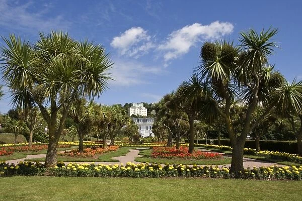 Gardens at Torquay, South Devon, England, United Kingdom, Europe
