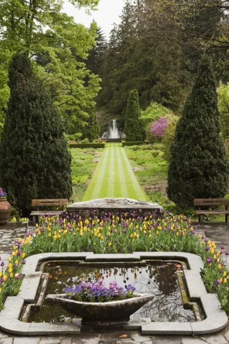 Framed Print : The gardens of Villa Taranto, Verbania, Lake Maggiore, Piedmont, Italy, Europe Framed Print : The gardens of Villa Taranto, Verbania, Lake Maggiore, Piedmont, Italy, Europe