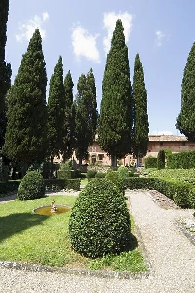 The gardens of the Villa Vignamaggio