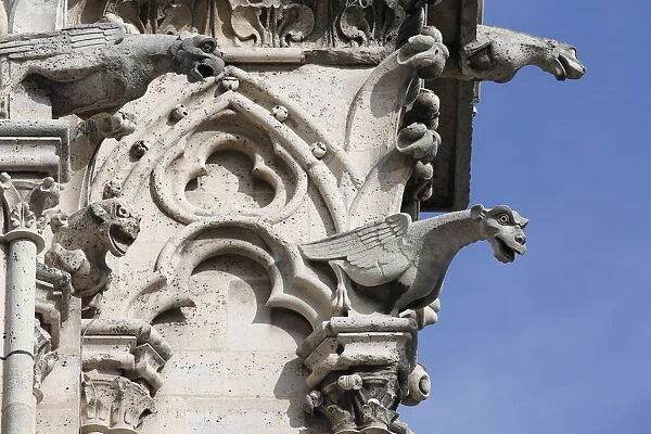 Gargoyles, Notre Dame de Paris cathedral, Paris, France, Europe