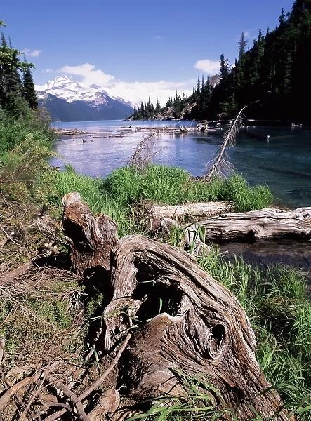 Garibaldi Provincial Park, British Columbia (B. C. ), Canada, North America