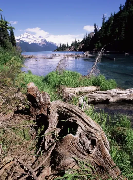 Framed Print : Garibaldi Provincial Park, British Columbia (B. C. ), Canada, North America Framed Print : Garibaldi Provincial Park, British Columbia (B. C. ), Canada, North America