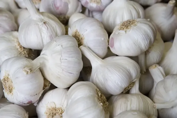 Framed Print : Garlic on market stall