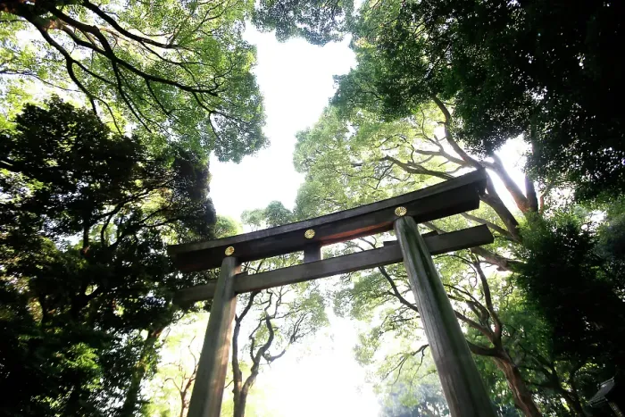 Framed Print : Gate of the Meiji Jingu, one of the main Shinto shrines in Tokyo, Honshu, Japan Framed Print : Gate of the Meiji Jingu, one of the main Shinto shrines in Tokyo, Honshu, Japan