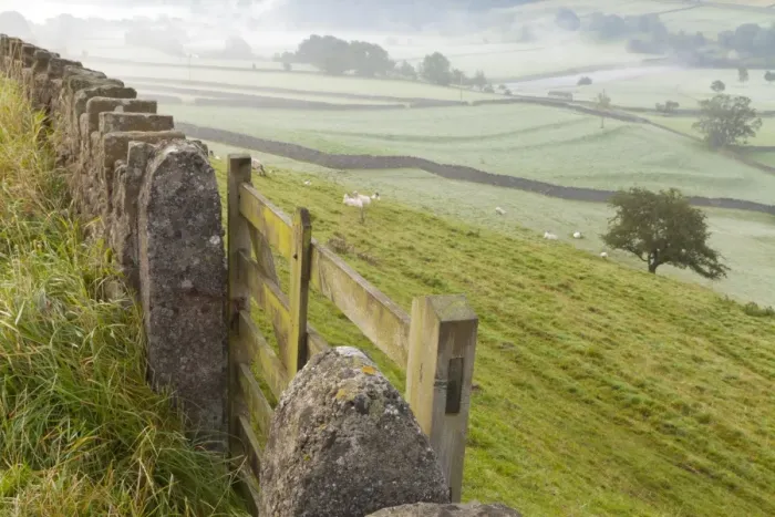 Framed Print : Gate in stone wall and field, near Burnsall, Yorkshire Dales National Park, Yorkshire, England, United Kingdom, Europe Framed Print : Gate in stone wall and field, near Burnsall, Yorkshire Dales National Park, Yorkshire, England, United Kingdom, Europe