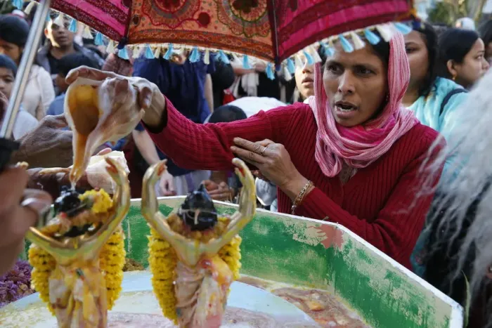 Framed Print : Gaura Purnima celebration, Sarcelles, Val d Oise, France, Europe Framed Print : Gaura Purnima celebration, Sarcelles, Val d Oise, France, Europe