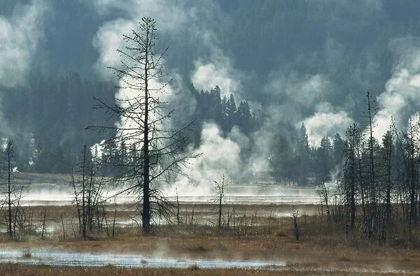 Geothermal activity, Yellowstone National Park, UNESCO World Heritage Site