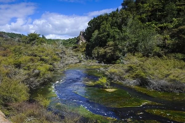 Geothermal river in the Waimangu Volcanic Valley, North Island, New Zealand, Pacific