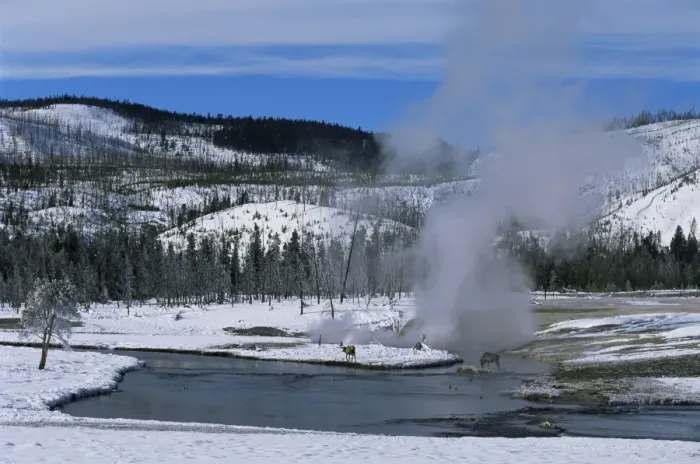 Framed Print : Geysers in Yellowstone National Park Framed Print : Geysers in Yellowstone National Park