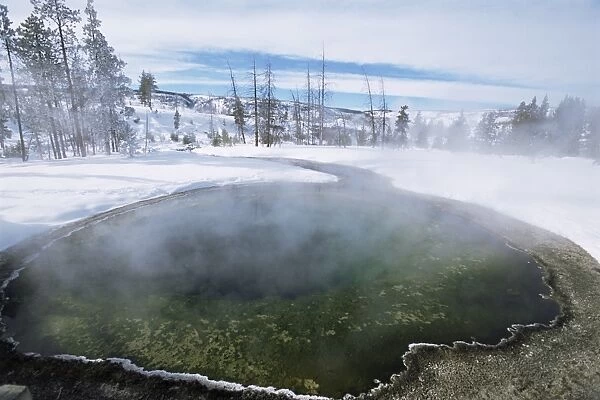 Geysers in Yellowstone Park