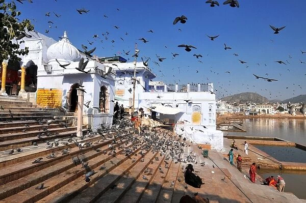 Ghats at Holy Pushkar Lake and old Rajput Palaces, Pushkar, Rajasthan, India, Asia